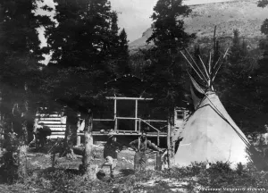 Roots: Valemount and Area History